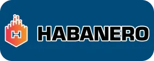 Hệ Thống Bảo Mật logo